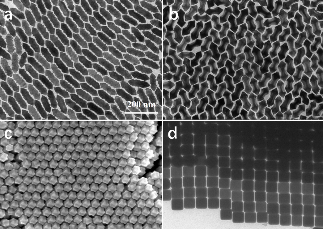 手性金纳米材料