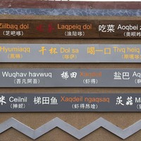 Verbs and Nouns Verbs and Nouns