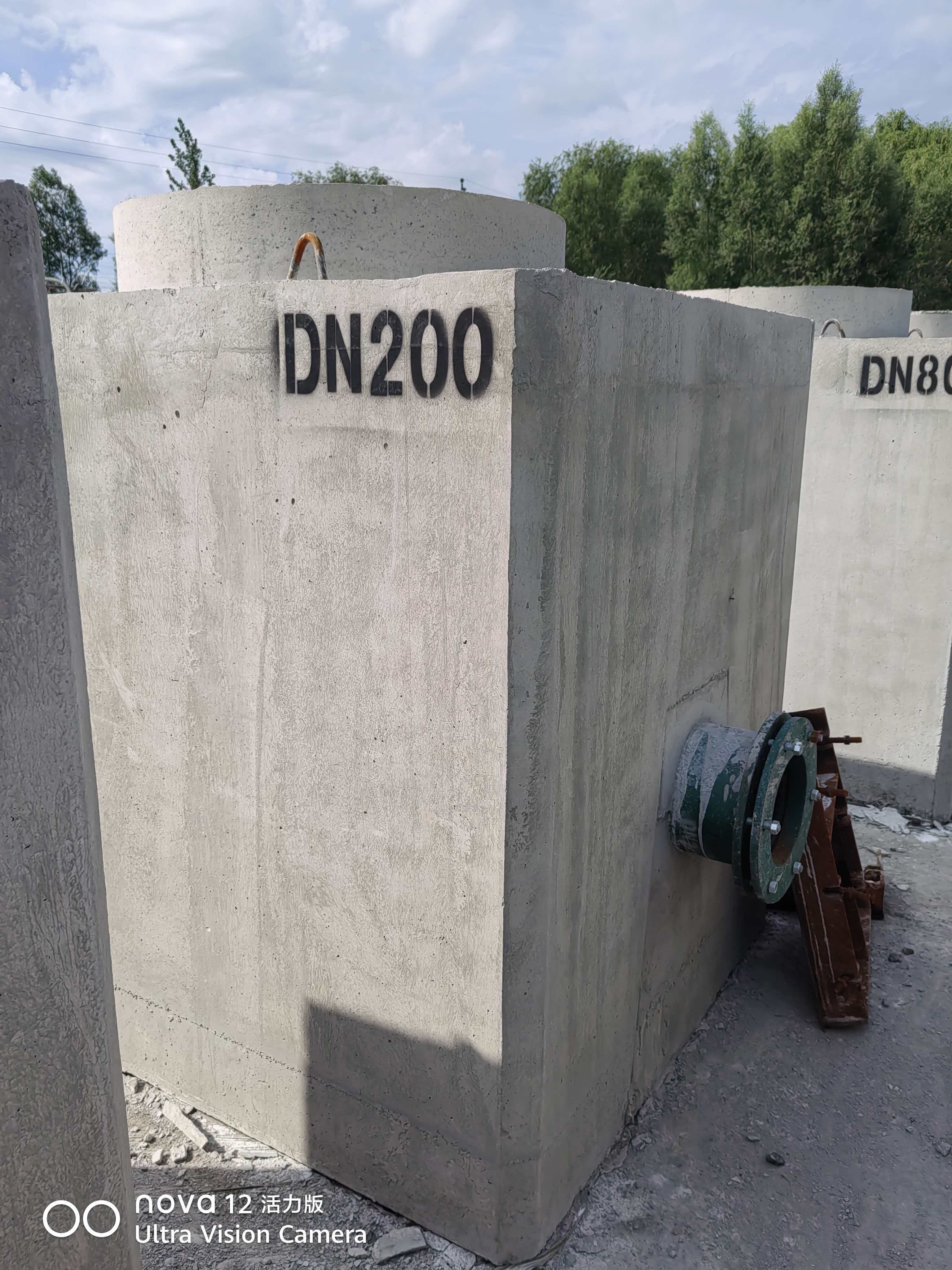 Section image