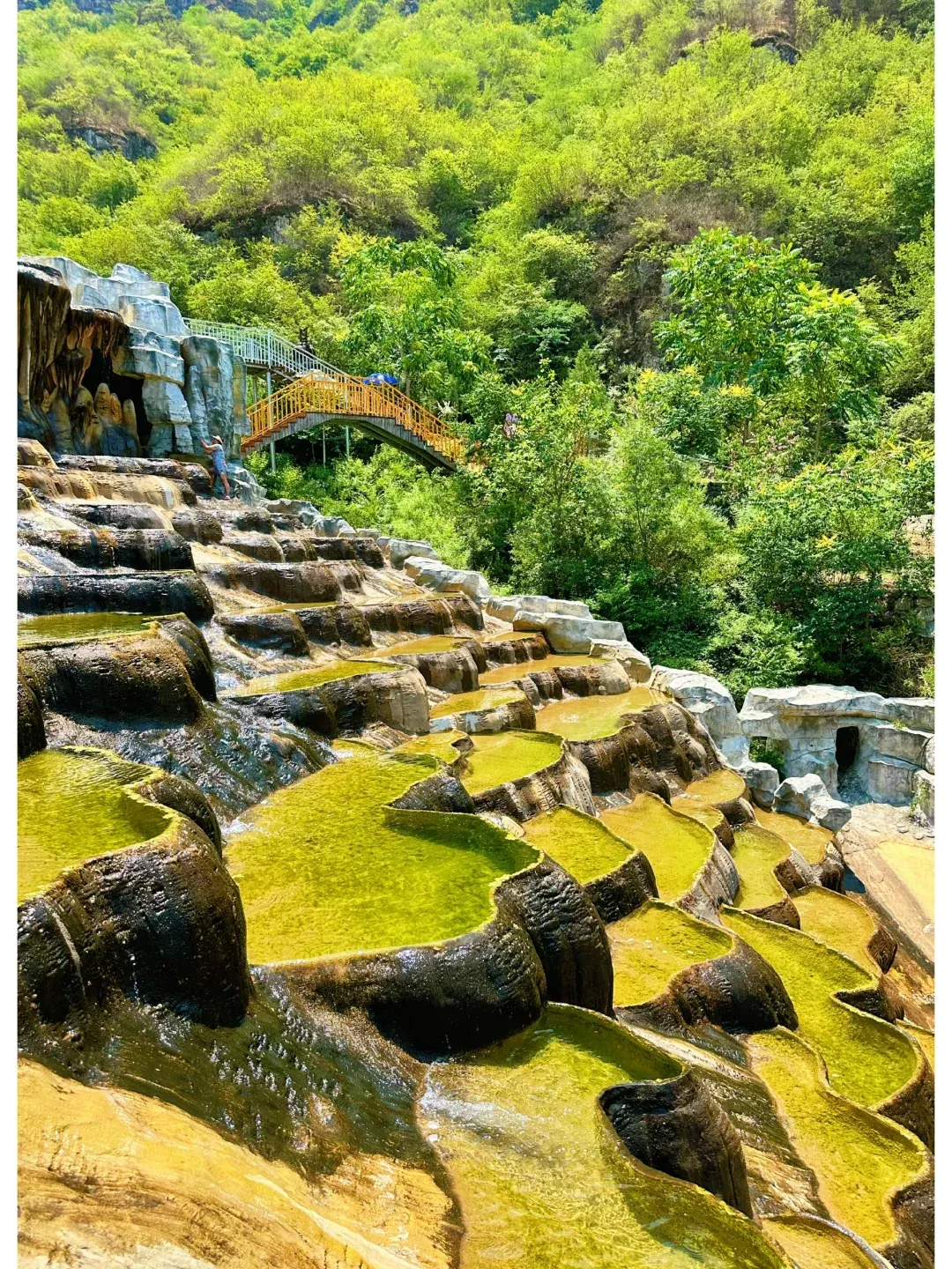 Section image