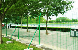 Section image