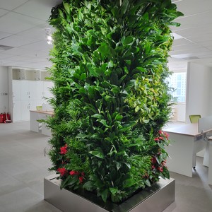 华联财务办公室两面柱形植物墙