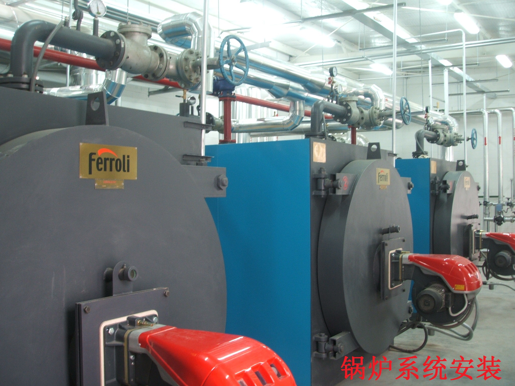 外资客户法罗力热水锅炉系统