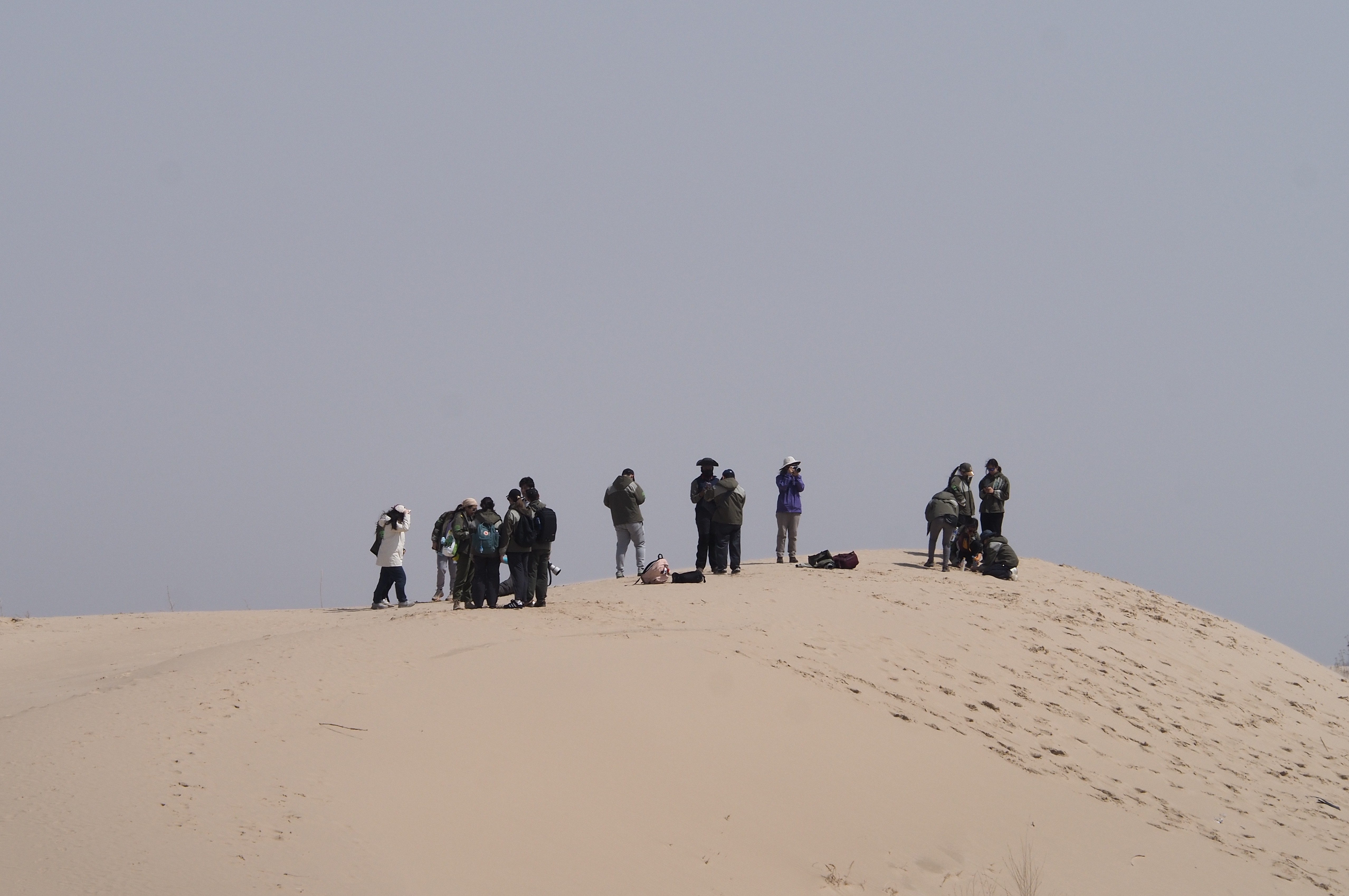 Section image