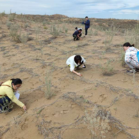 Volunteers helping to maintain the Ningxia site