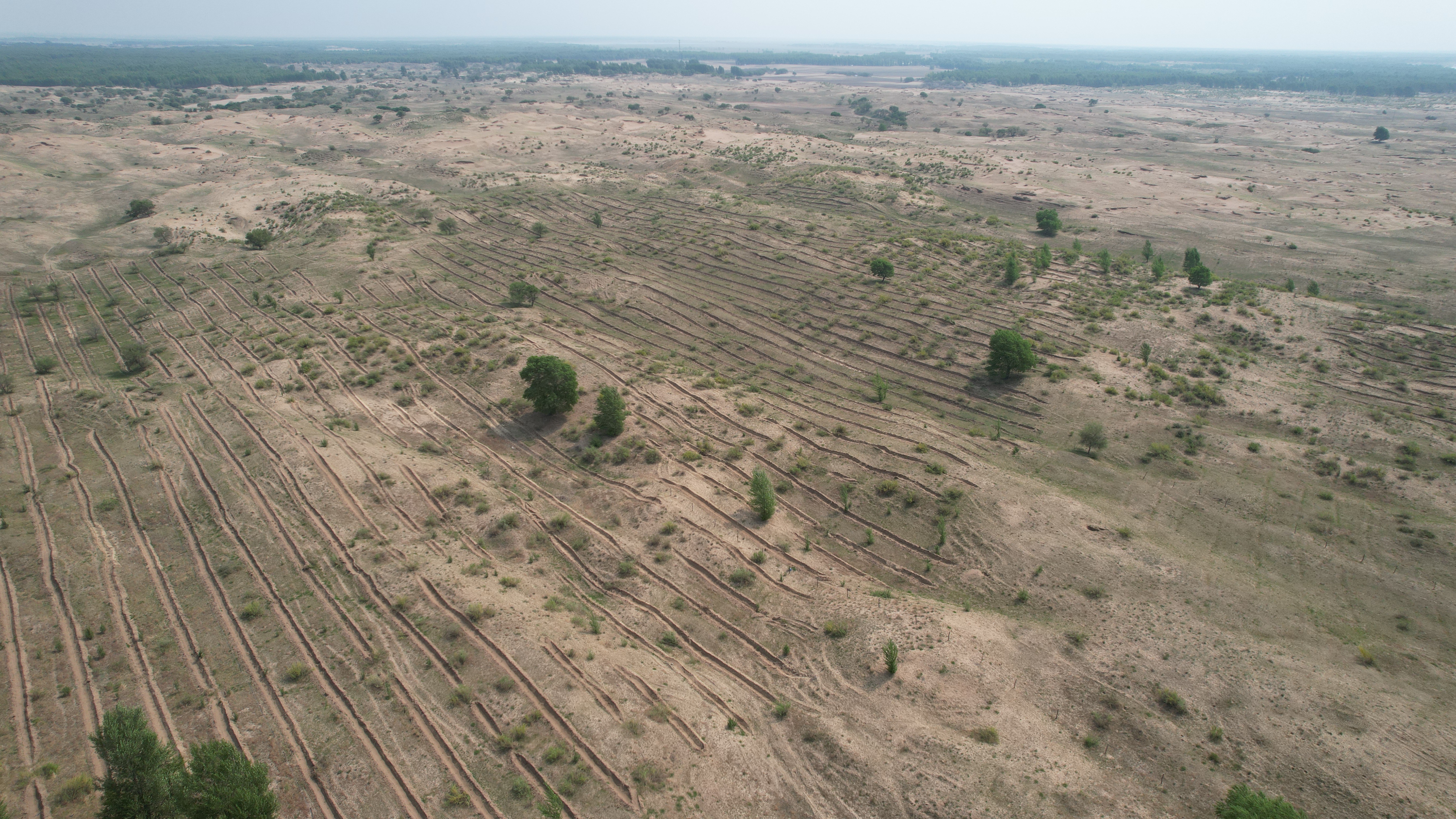 Section image