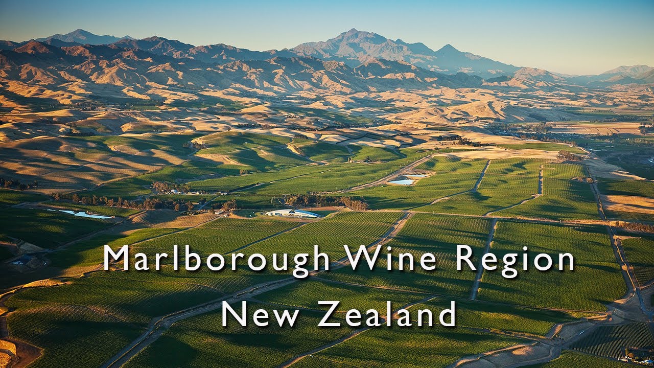 新西兰葡萄酒马尔堡区（Marlborough）产地