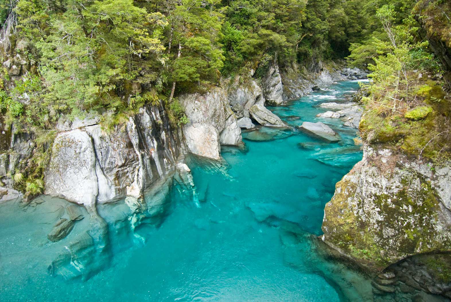 新西兰最美公路-蓝池步道