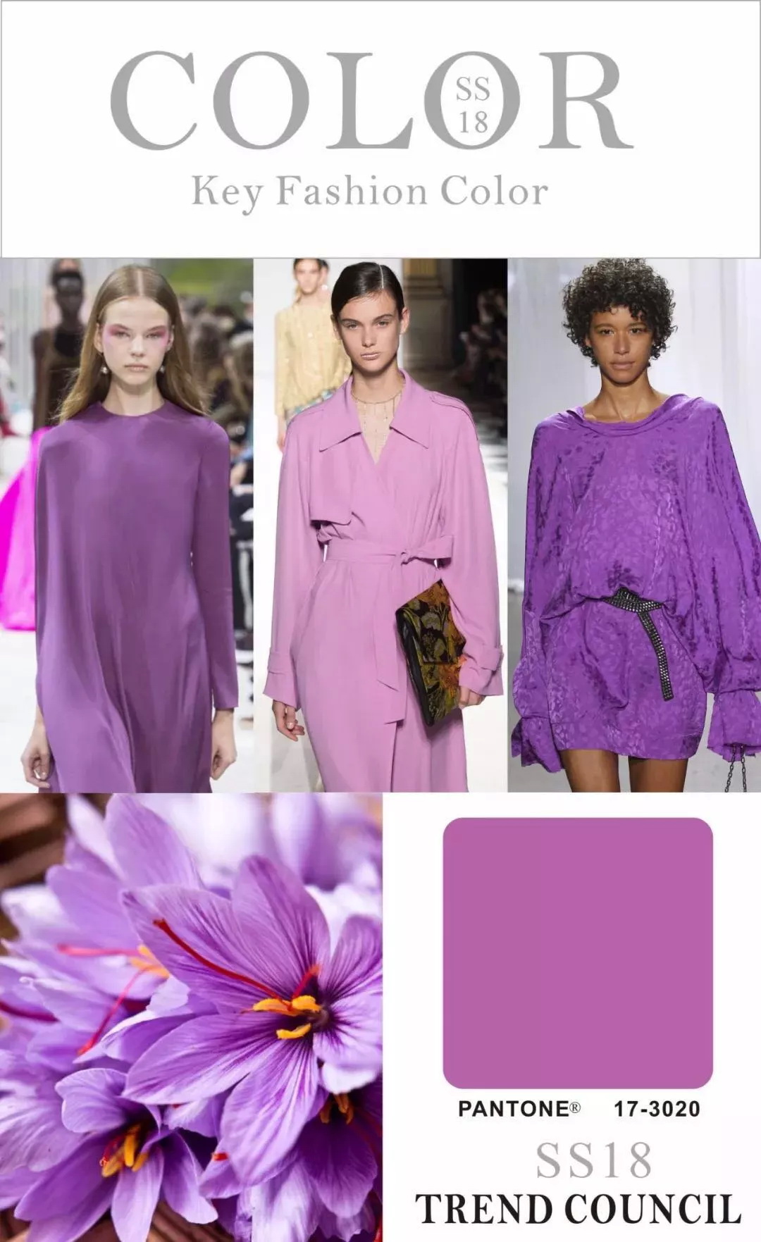 番薯紫在一众紫色中显得最为躁动,高饱和的紫色强悍不服输,很有视觉