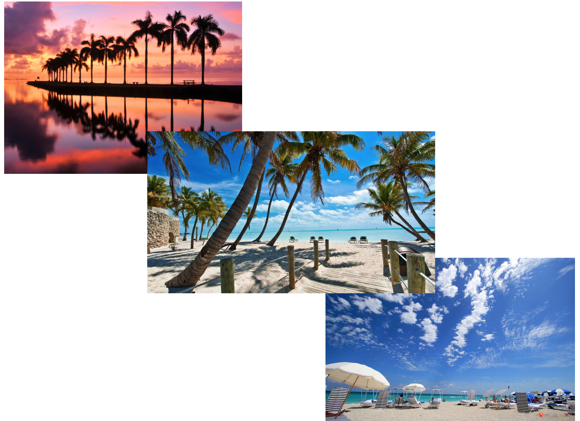 Study Pathway 研途游学 美国 夏令营 冬令营 青少年游学目的地推荐 |迈阿密 | 劳德代尔堡| 游学 | 海外游学