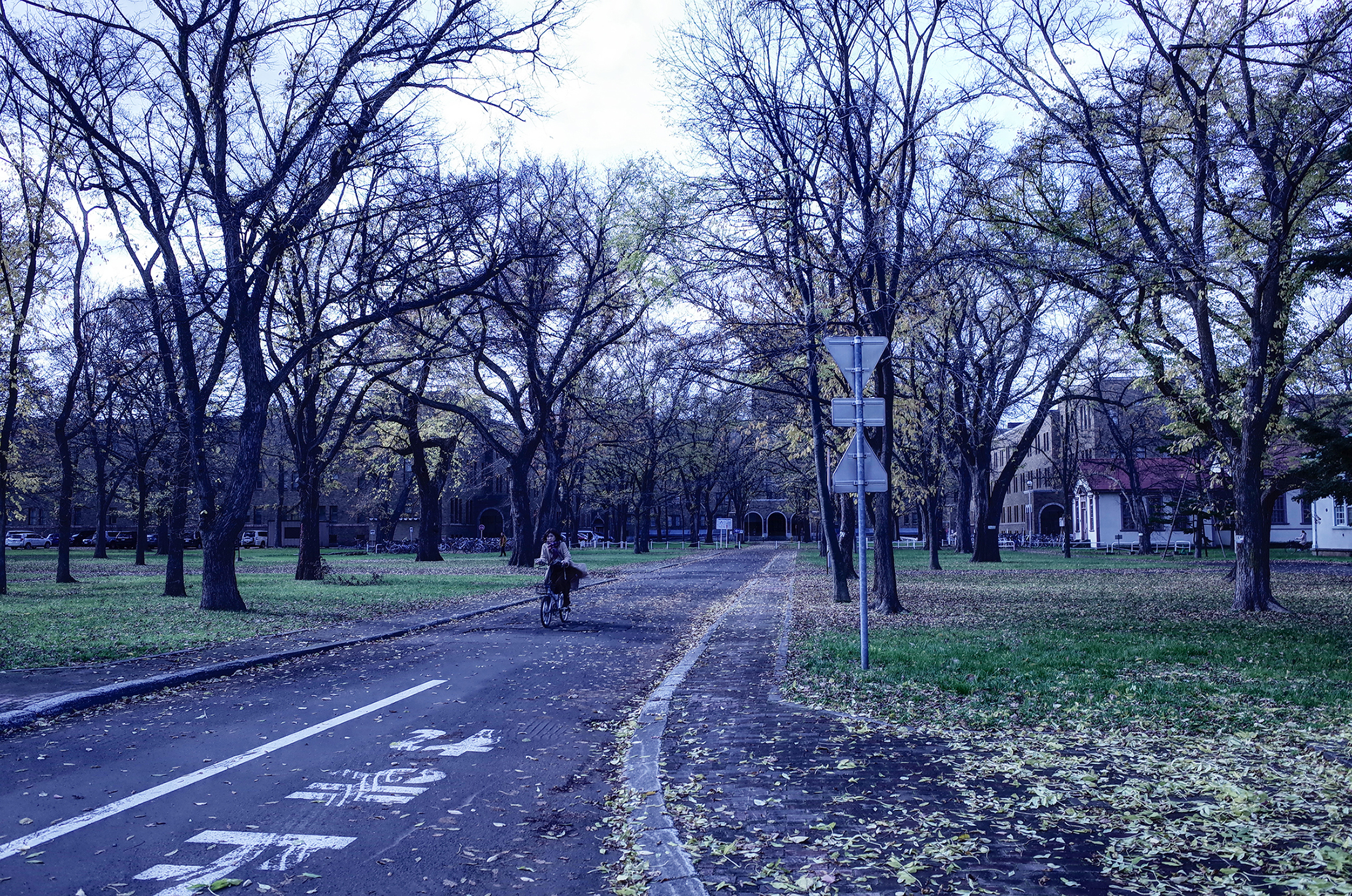 Section image