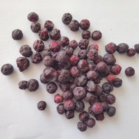 凍干藍莓  FD Blueberry