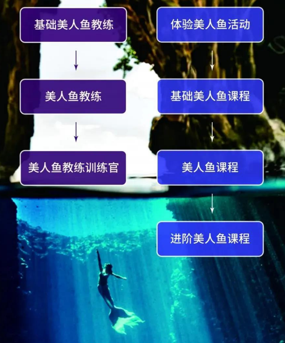 PADI基础美人鱼教练课程