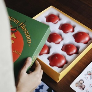 超级番茄小礼盒-可种植版本
