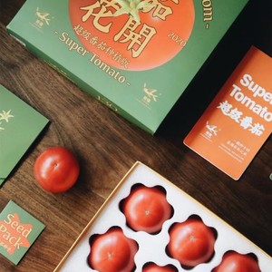 超级番茄小礼盒-可种植版本