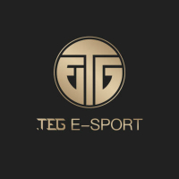 TEG ESPORTS
