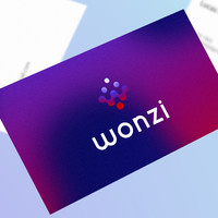 科技品牌Logo设计——WONZI