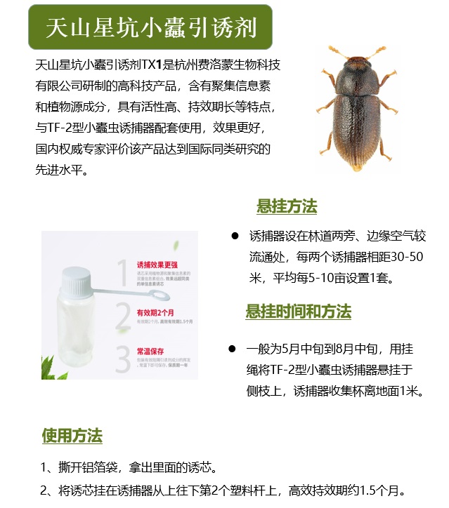 天山星坑小蠹引诱剂