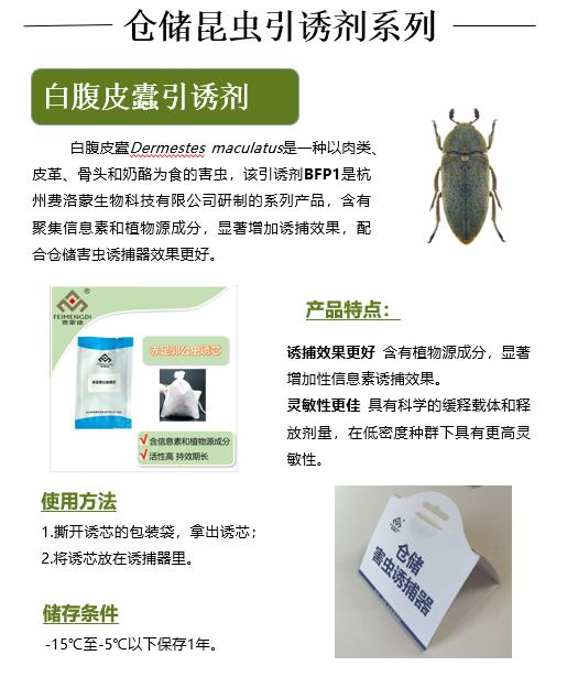 白腹皮蠹引诱剂