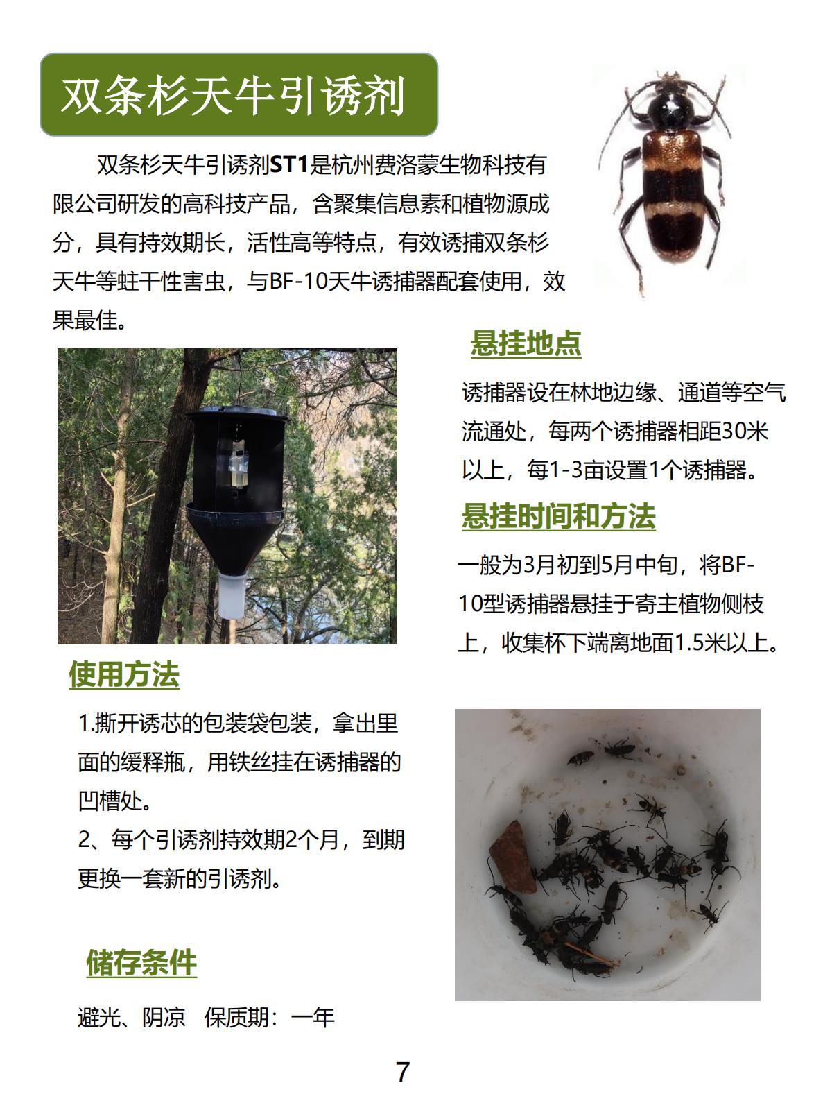 双条杉天牛引诱剂