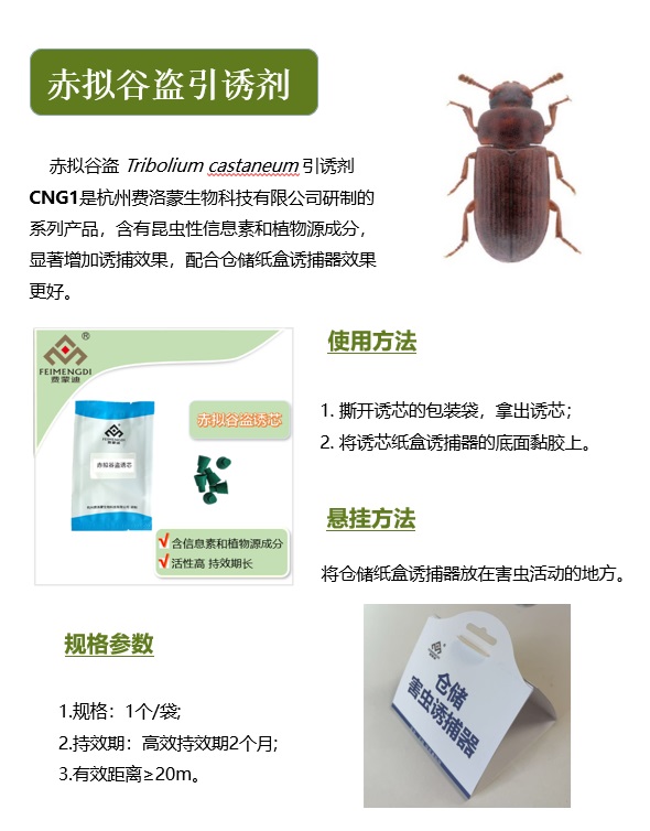 赤拟谷盗引诱剂