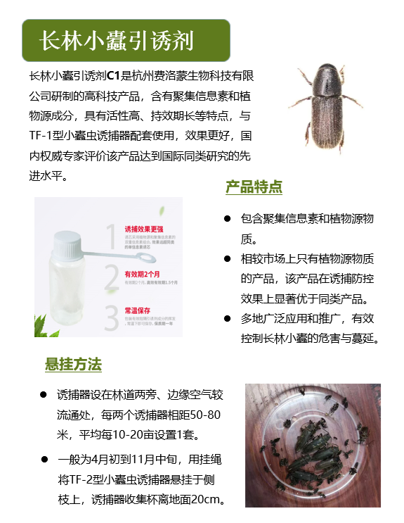 长林小蠹引诱剂