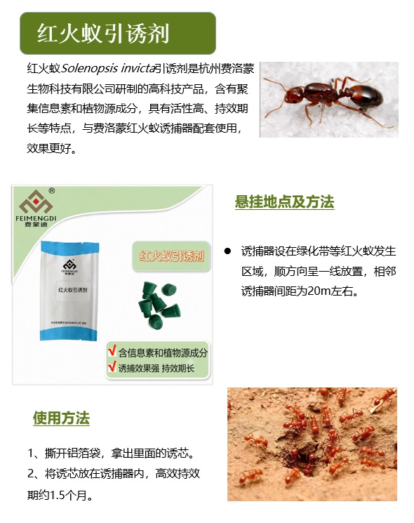 红火蚁引诱剂