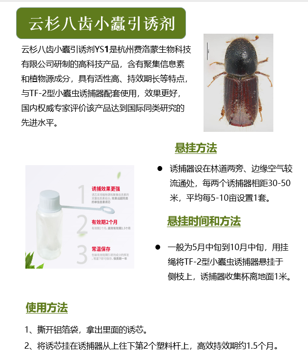 云杉八齿小蠹引诱剂