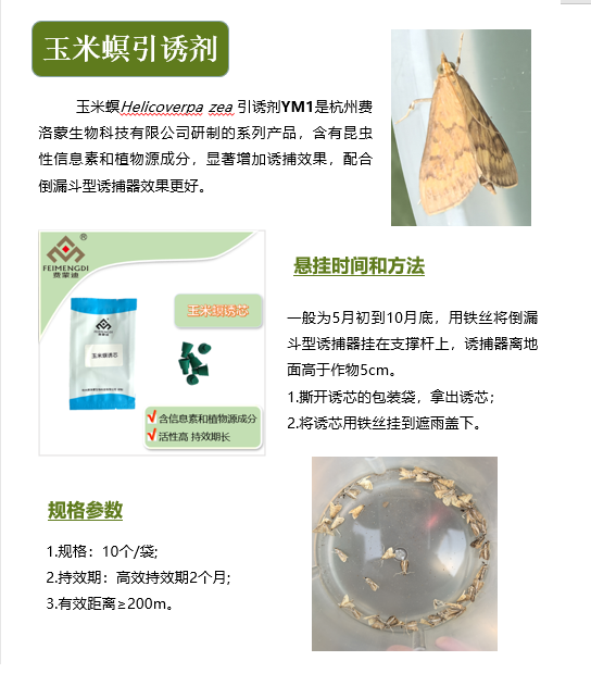 玉米螟引诱剂