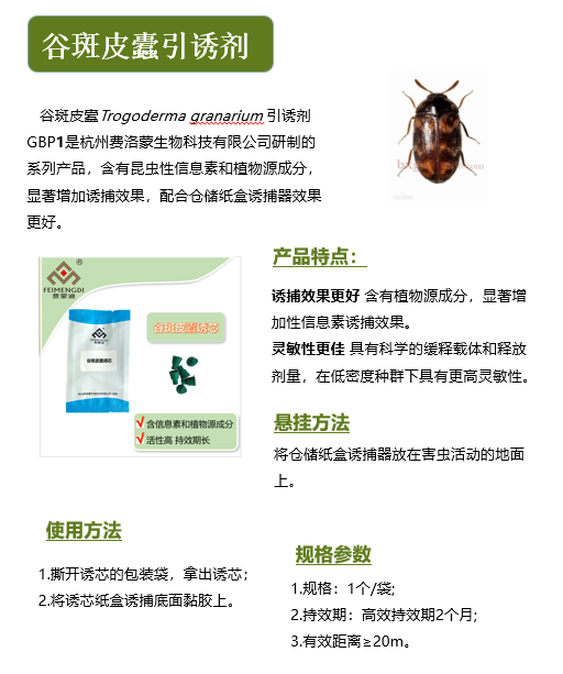 谷斑皮蠹引诱剂