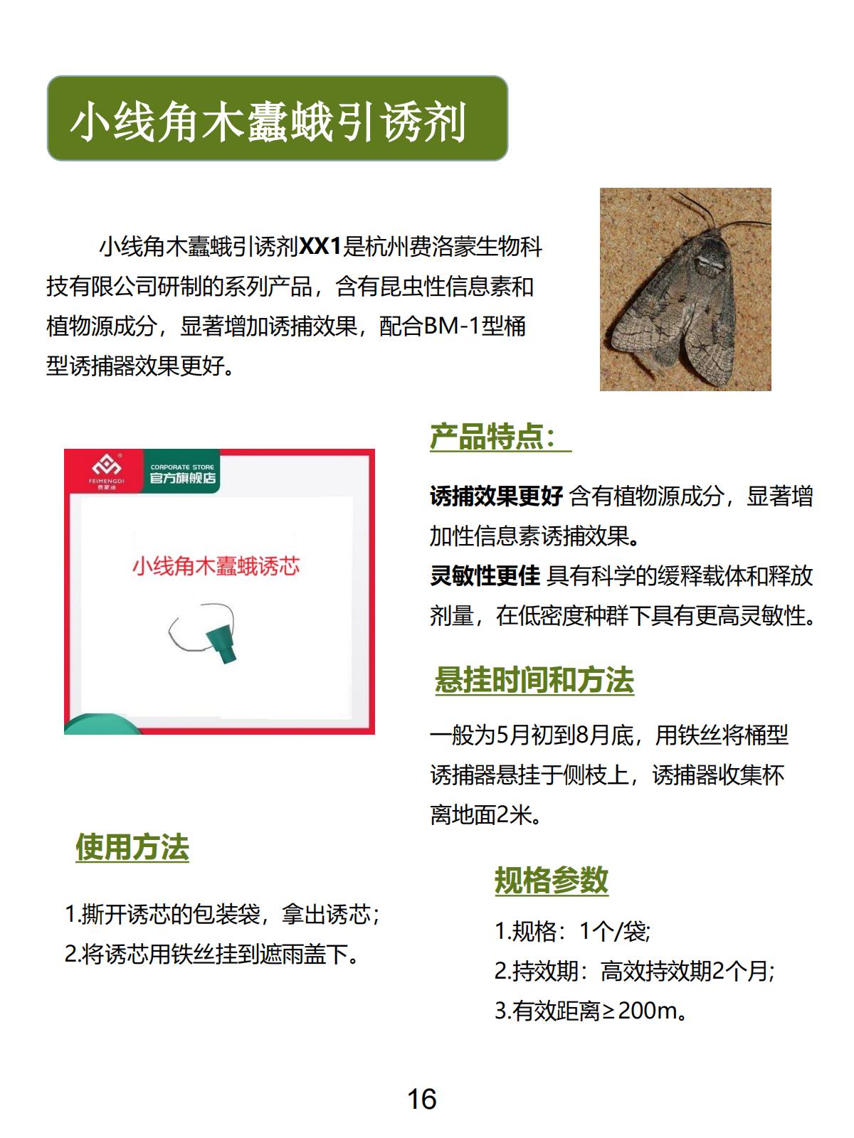 小线角木蠹蛾引诱剂