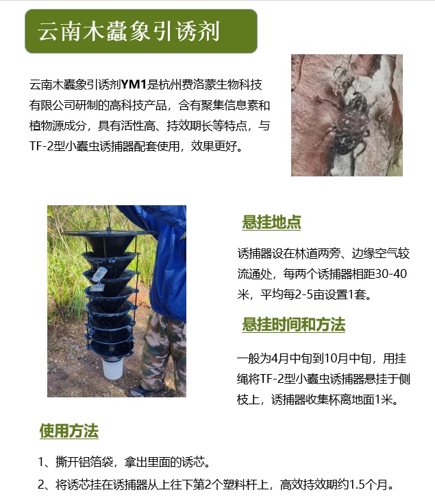 云南木蠹象引诱剂