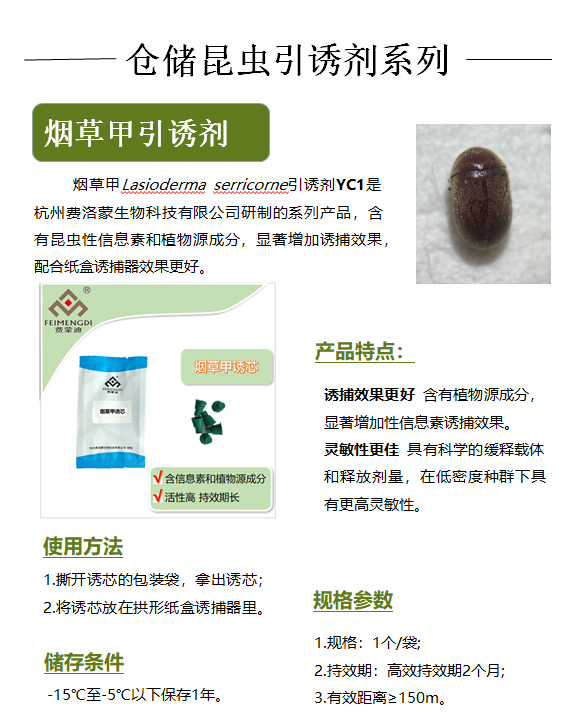 lasioderma serricorne 