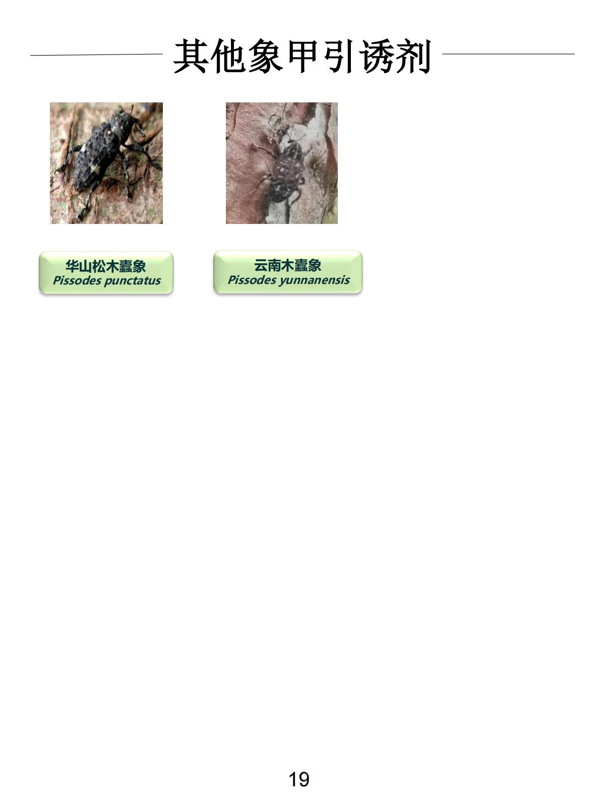 Other Attractant Series