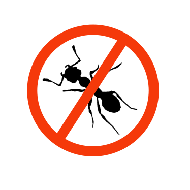 broken image