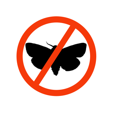broken image
