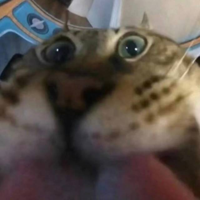 broken image