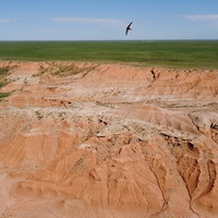 Wind Erosion Sand