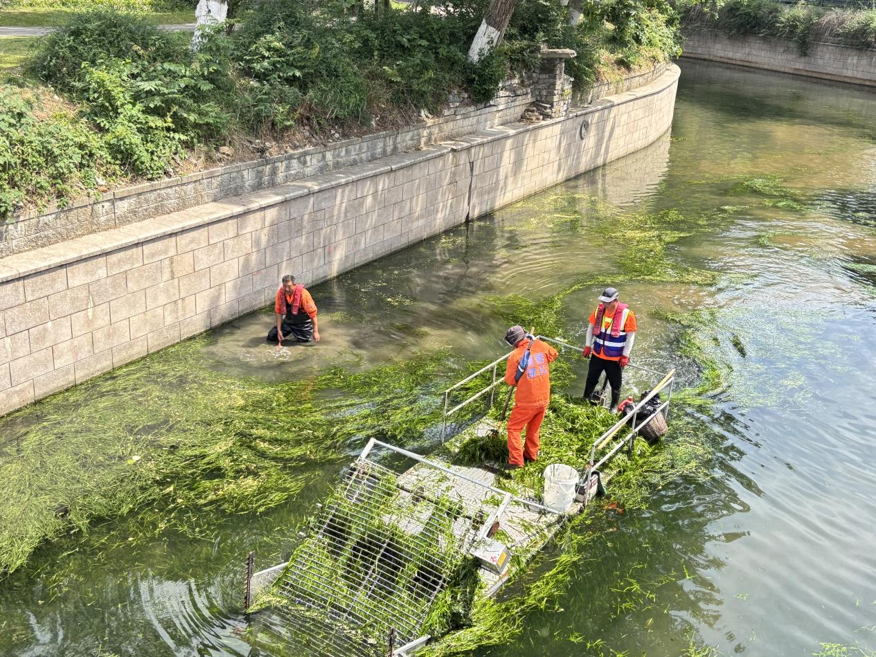 清理中的西北护城河