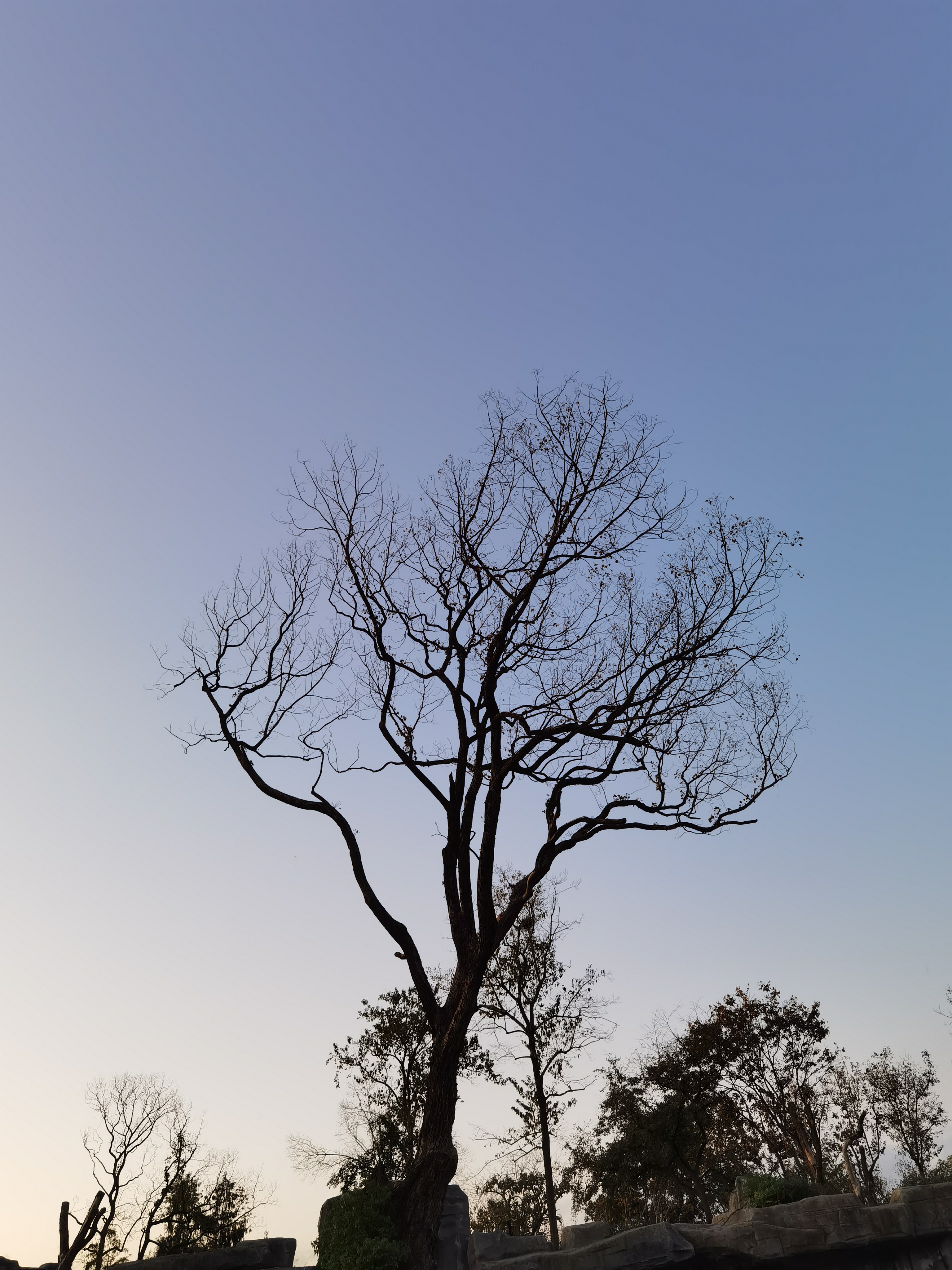 broken image