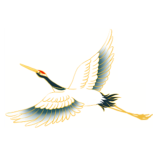 broken image