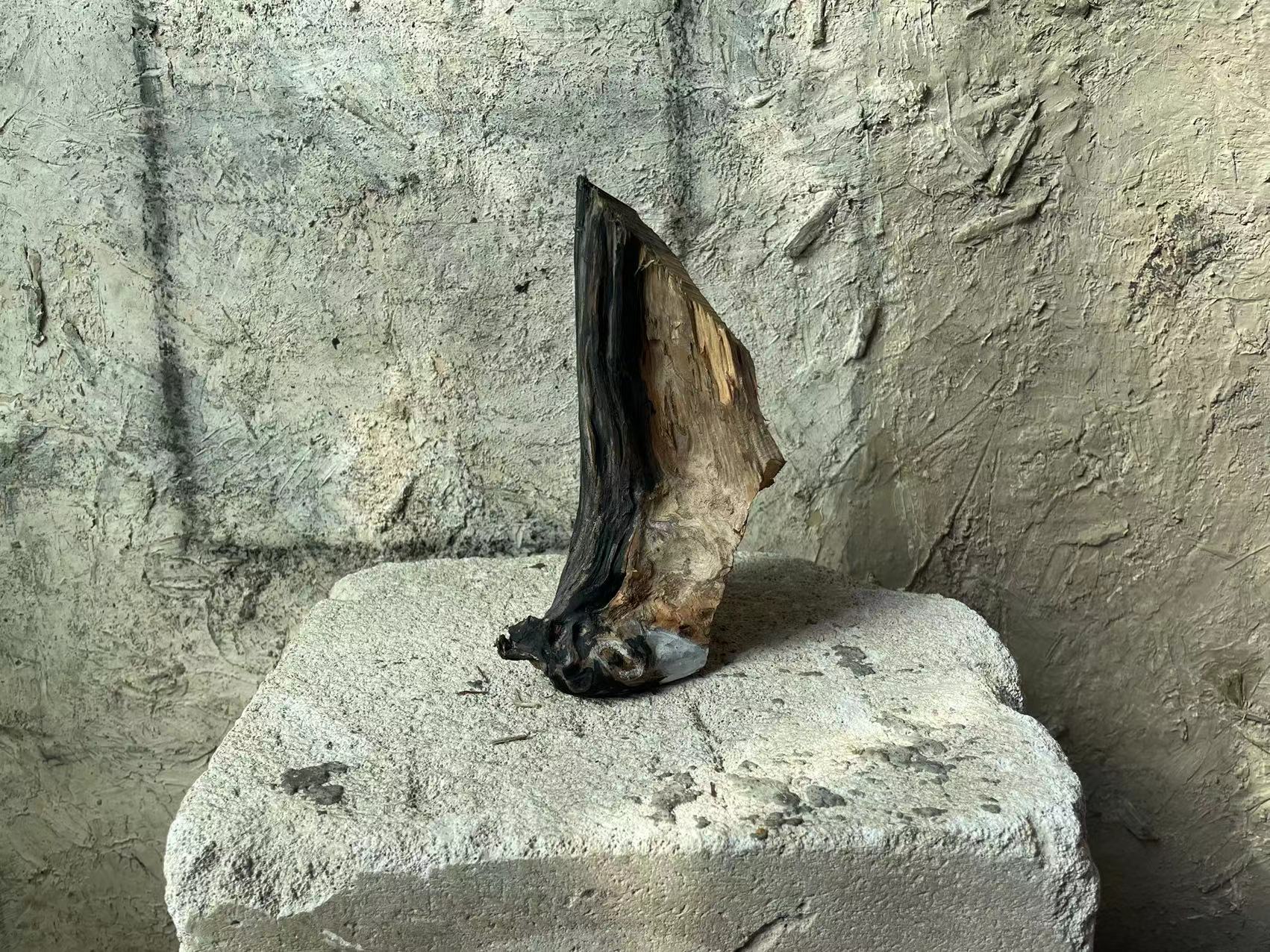 broken image