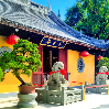Panda Education Schools closing During the Dragon Boat Festival