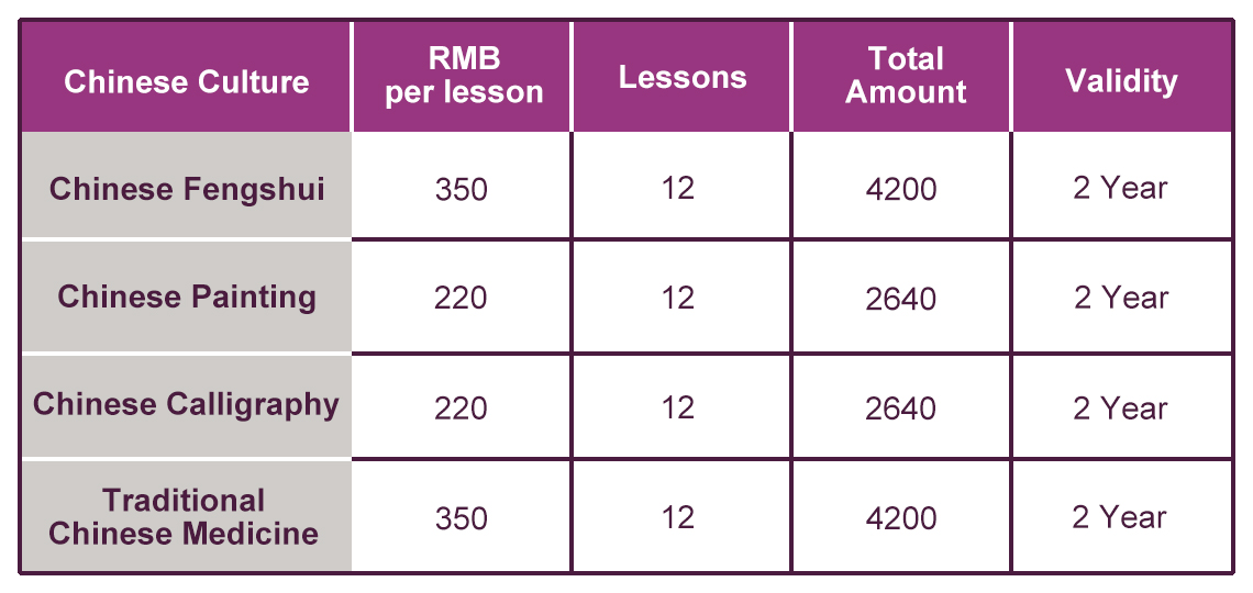 Panda Education 1-on-1 Chinese Culture Courses Pricing