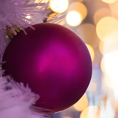 Panda Education Monthly Promotion 