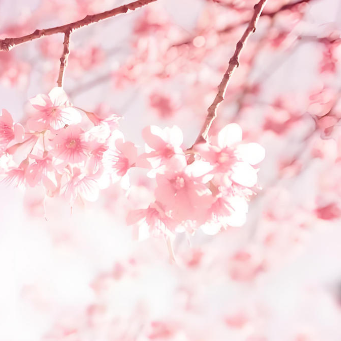 2026年2月キャンペーン