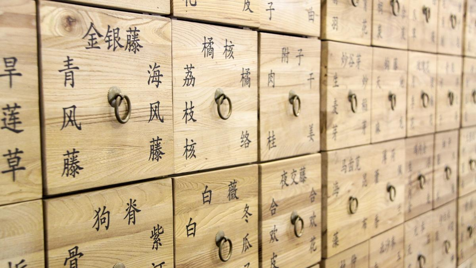 Traditional Chinese Medicine（TCM）