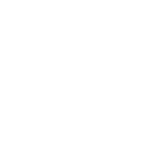 broken image