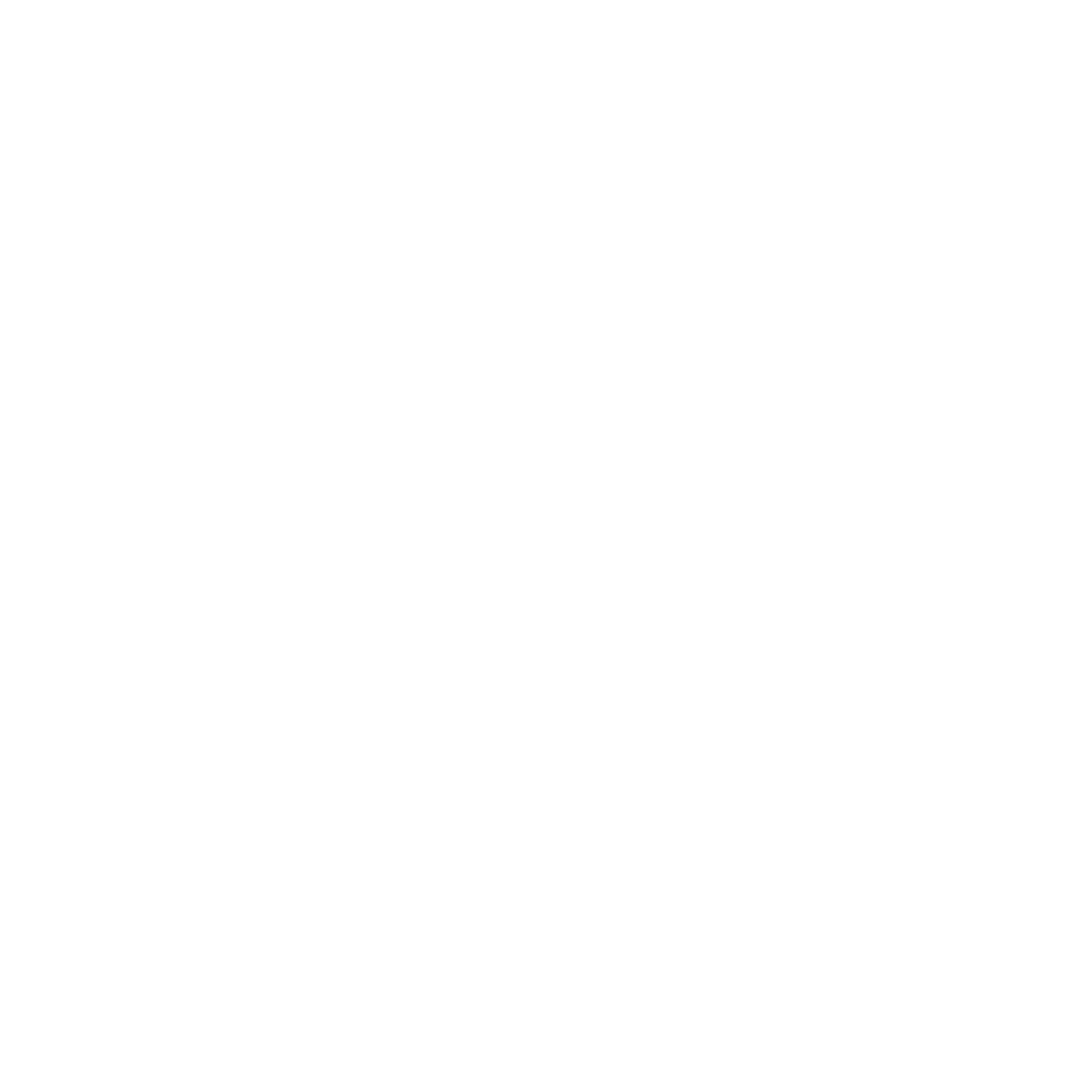 broken image