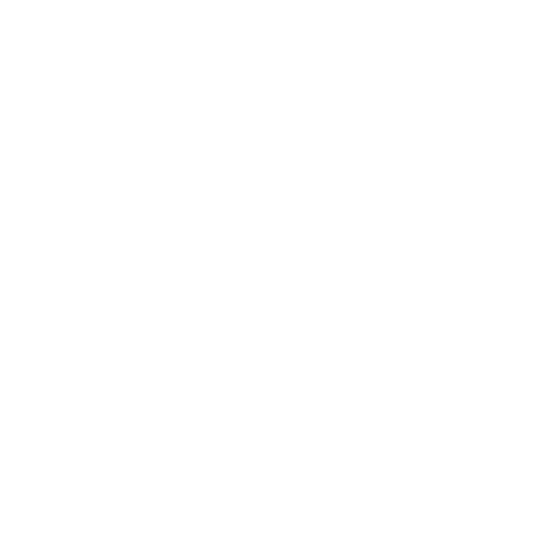 broken image